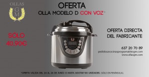 MODELO D CON VOZ