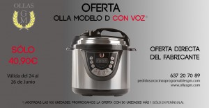 MODELO D CON VOZ