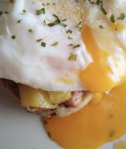 benedicto 2