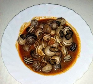 caracoles con olla gm