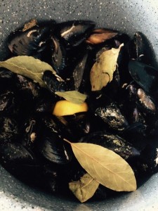 clóchinas Olla GM 3