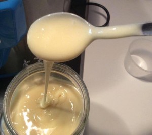 yogur olla gm