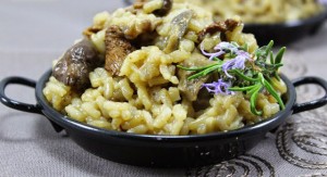 risotto de setas secas gm