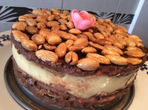 tarta ollas gm