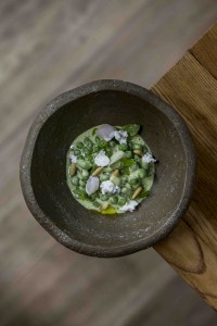plato ricard camarena