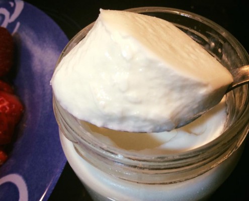 yogur-griego-olla-gm