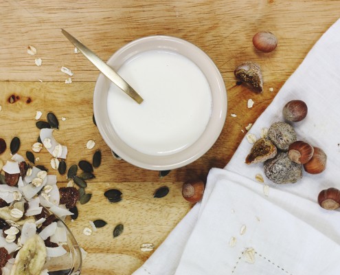 Yogur ollas gm